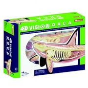 Tedco Toys 4D Vision Orca Anatomy Model