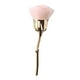 thumbnail image 5 of Herramienta de Belleza Salvador Brocha de Maquillaje Rosa de Viaje, 5 of 9
