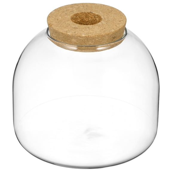 LIOOBO Glass Terrarium Jar Transparent 1Pcs 5.9x5.9x5.3In