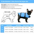 thumbnail image 4 of NEWEEN Dog Life Jackets Dog Life Vests for Swimming Beach Boating with High Buoyancy Dog Flotation Vest for Small/Medium/Large Dogs, Pink, M, 4 of 10