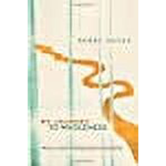 My Journey To Wholeness (Paperback) by Debby Havas