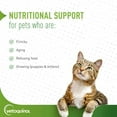 thumbnail image 4 of Vetoquinol Nutri-Cal High Calorie Nutritional Oral Gel Supplement for Dogs and Cats, 4.25oz, 4 of 7
