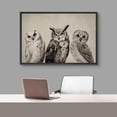 thumbnail image 3 of PixonSign Framed Canvas Print Wall Art Duotone Owl Portraits Vintage Antique Farmhouse Decor Nature Animals Modern Art Realism Cozy Decorative Colorful Multicolor - 16"x24" Black, 3 of 5