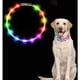 thumbnail image 1 of Collar luminoso para perro, collar para perro recargable por USB, collar para perro de seguridad LED, longitud ajustable con 2 modos de flash para perros pequeños, medianos y grandes, 1 of 5