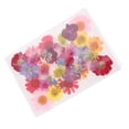 thumbnail image 1 of 1 paquete de hojas de secas das es para manualidades UNA Zulema Flores secas prensadas naturales, 1 of 8