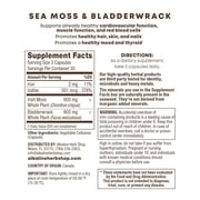 The Restore Bundle - Sea Moss & Bladderwrack, Plant Power (Chlorophyll), and Burdock Root