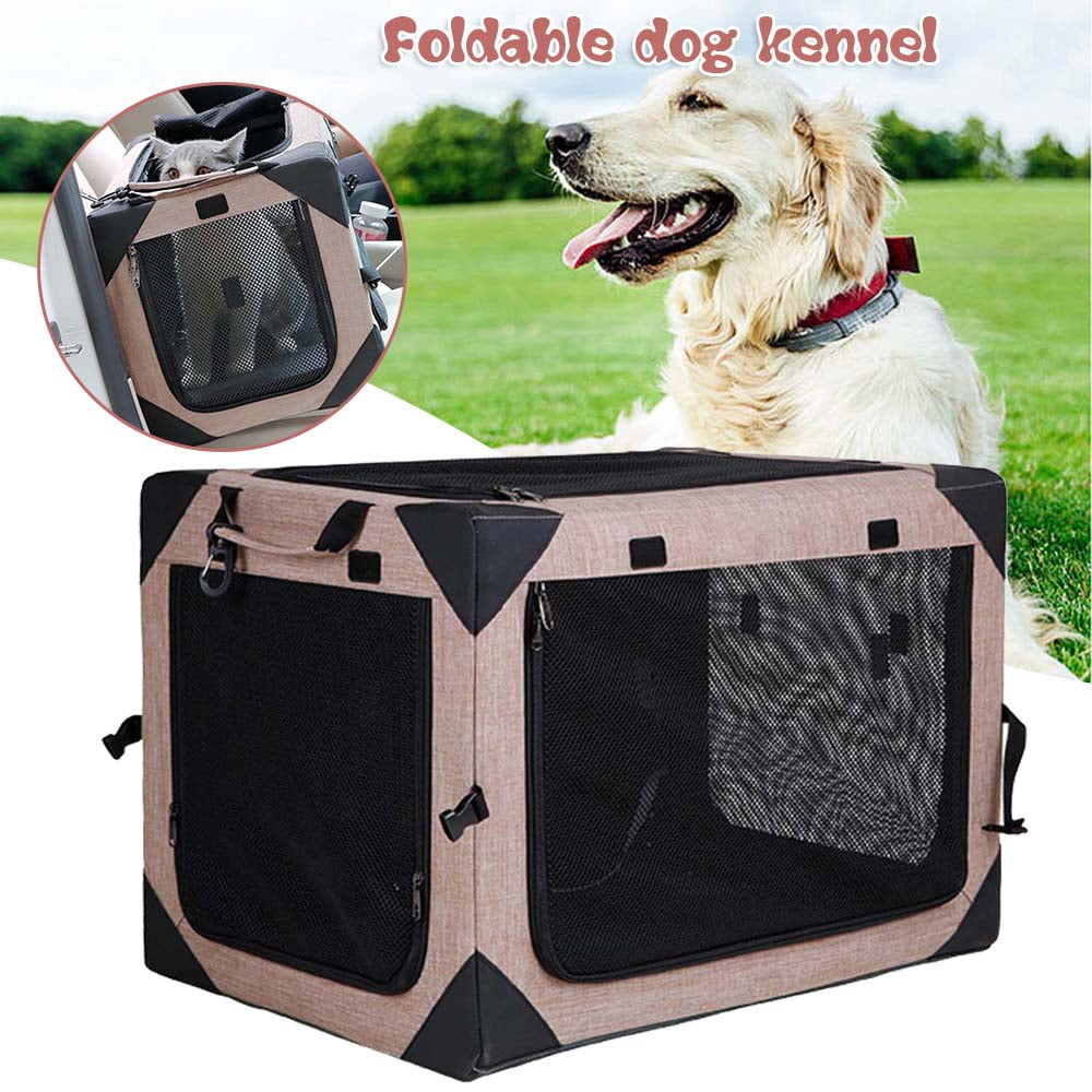 Can Puppy Wear Collar Crate