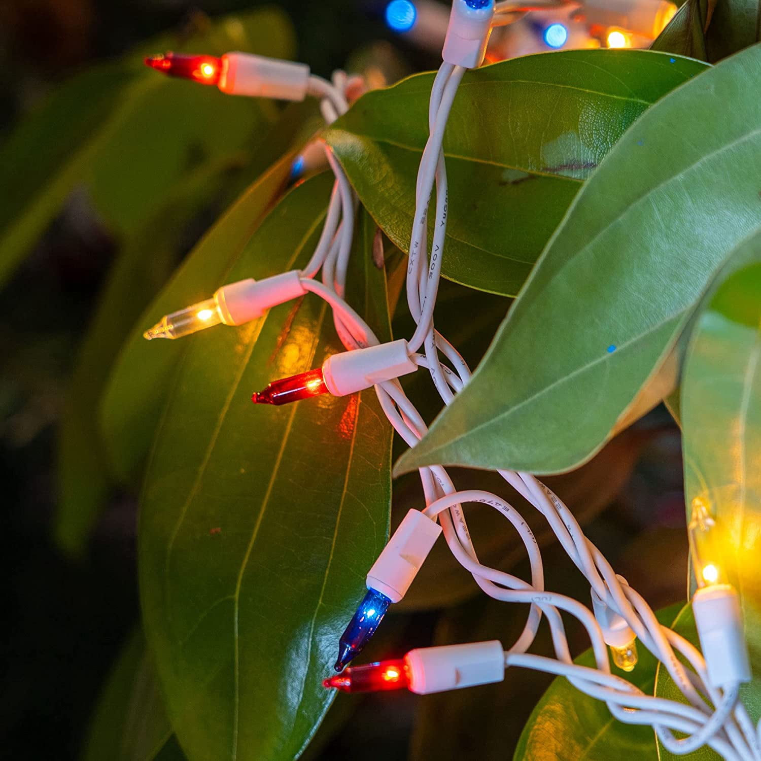 Christmas Lights Indoor Outdoor, 33ft 100-count Lights Incandescent Mini String Light, Battery Powered Lights for Xmas Tree, Patio, Holiday, Party, Home, Garden, Decorations (Red Blue White)