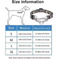 thumbnail image 2 of Pimaodog Collar De Perro Martingale Con Cadena De Acero Inox, 2 of 4