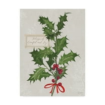 Trademark Fine Art 'Joyful Tidings VI' Canvas Art by Sue Schlabach