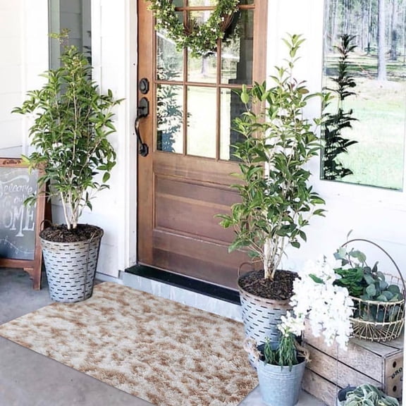 Soft Rugs for Living Room Small Washable Non Slip Rugs,Bedroom Mini Area Rug Floor Carpet Indoor Mat,Front Entrance Mat Home Decor Anti-Skid Rug,Dining Room Home Bedroom Carpet Floor.