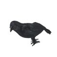 thumbnail image 1 of Billuyoard Cuervos negros de Halloween, utilería Artificial, modelo de Animal de pájaro, juguetes de miedo con alas de plumas, suministros de Kits de decoración para fiestas, 1 of 6