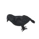 thumbnail image 4 of Cateissary Halloween Black Crows Artificial Prop Bird With Birds Outdoor Supplies Raven Decoy Models Toys Realistic Feather Type2 NO2, 4 of 6