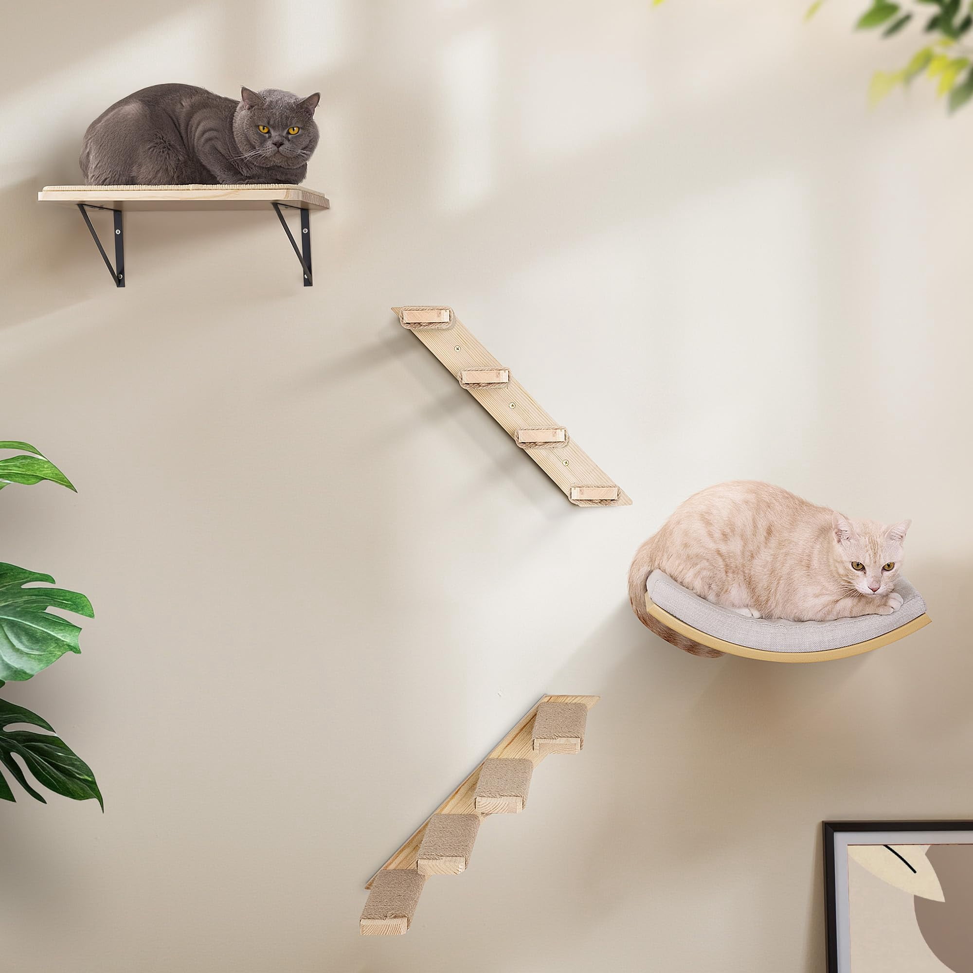 Cat Wall Climbing Furniture Set Foam/Felt-Wood 1 Curved Bed 1 Shelf 2 Ladders
