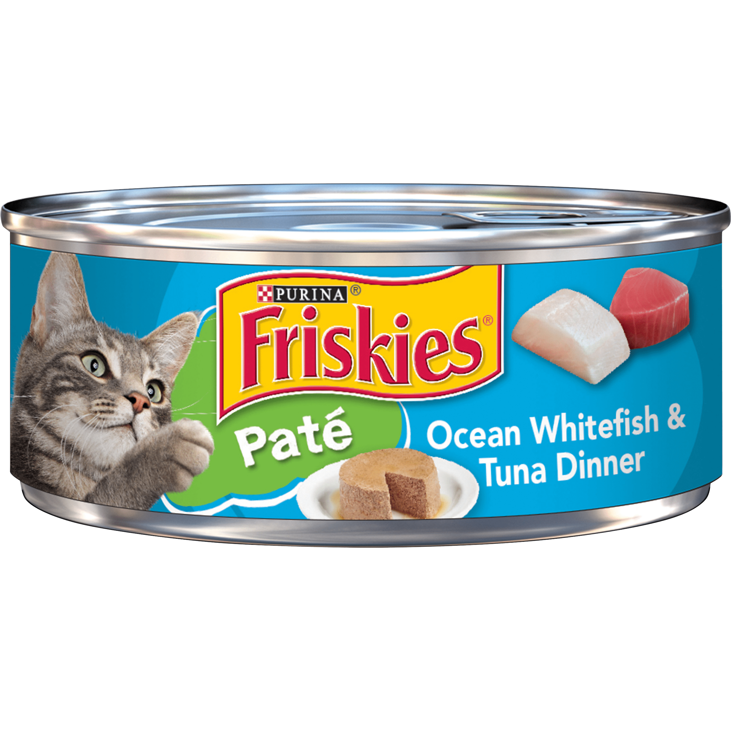 wholesale kitten food