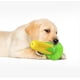 thumbnail image 3 of 2 juguetes para la dentición de perros, palitos de goma con forma de maíz que chirrían, juguetes para masticar y limpiar los dientes de tu perro., 3 of 5