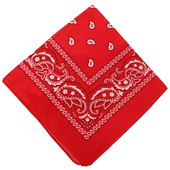 Fridja 21.65 Inches Bandanas Unisex Paisley Bandanas Colorful Multi-Purpose Double Sided Headband Cowboy Head Wrap Scarf for Women Men Boys Girls, Red