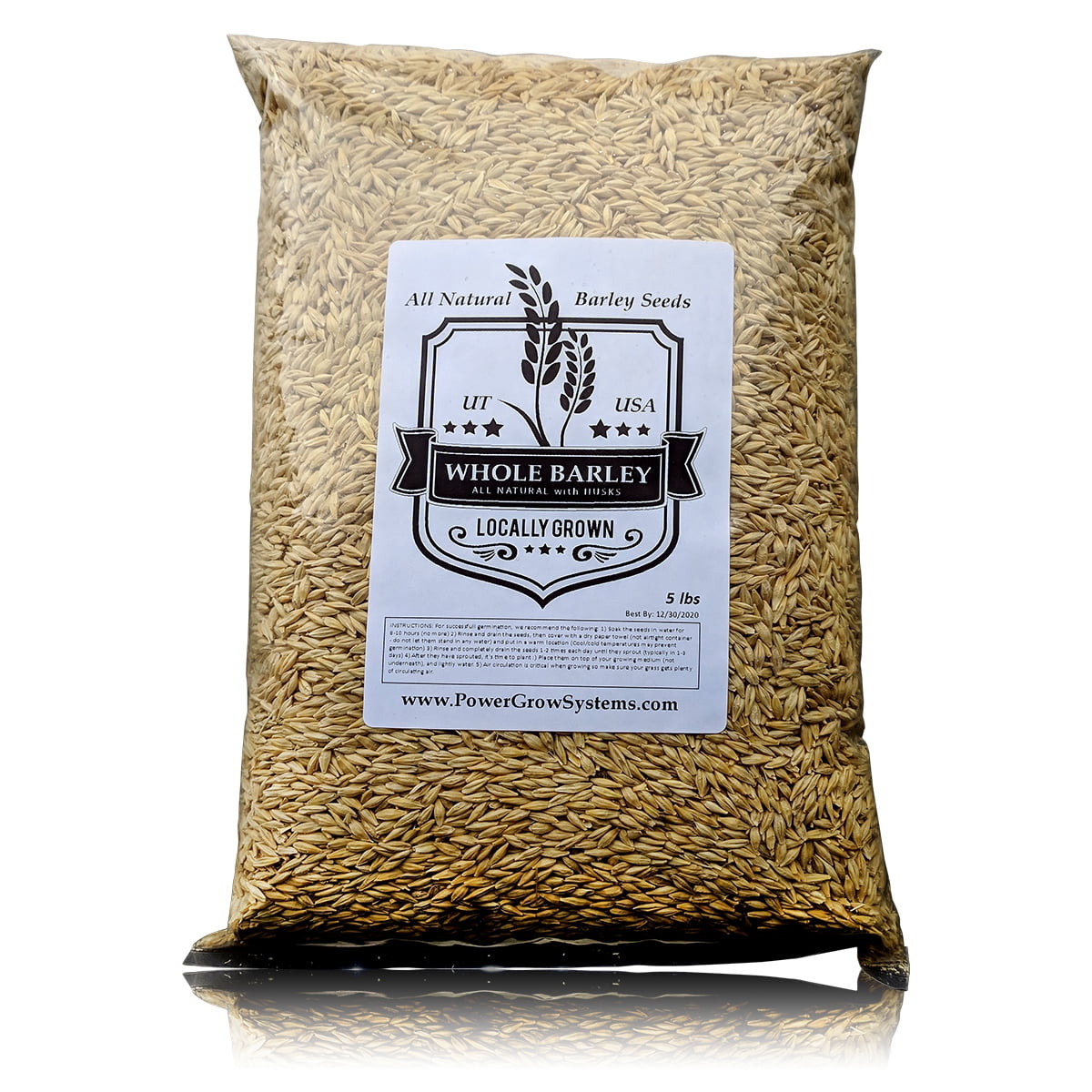 Barley Seeds All Natural 5 Pounds Whole Barley Seed for Juicing, Malt