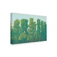 thumbnail image 2 of Trademark Fine Art 'Forest Green I' Canvas Art by Tim OToole, 2 of 4