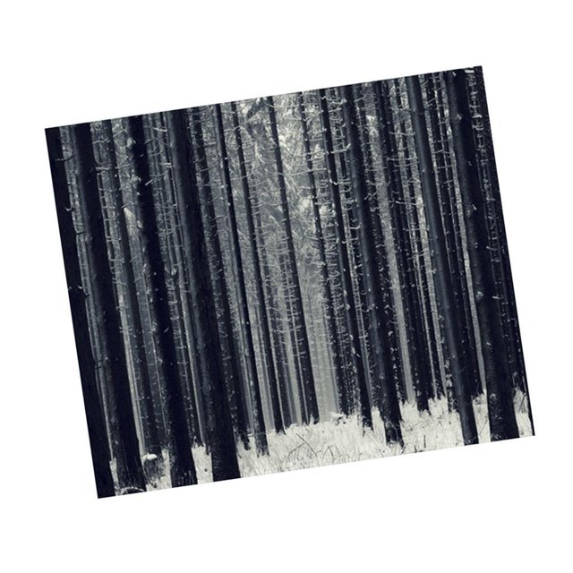 Pintura de pared de de aceite sin marco grande moderna para decoración de árboles forestales Gloria Pintura al óleo de la lona sin marco