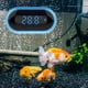 thumbnail image 5 of Termómetro digital para acuario, pecera, refrigerador, , temperatura, Gloria termómetro digital, 5 of 7