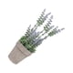 thumbnail image 5 of Matsuzay Purificador de aire y alivio del estrés Arreglo de flores artificiales Arreglo de flores de plástico ecológico Púrpura artificial Type2 NO2, 5 of 6