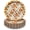 Fall Pumpkins, Pale, variant on Confettiville Thanksgiving Paper Plates, 50-Count Fall-Themed Decorative Disposable Serving Plates, Cream, Gold Foil Scalloped Edge, 9 Inches