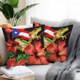 thumbnail image 2 of Puerto Rico Flag Outdoor Pillow Covers Set of 2 Red Althea Floral Green Frog Black Background Waterproof Throw Pillow Case Decorative Square Cushion Cover for Patio Couch Garden Balcony, 24"x24", 2 of 9