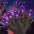 Way to Celebrate Halloween 120Count Purple LED Dome Lights, with AC