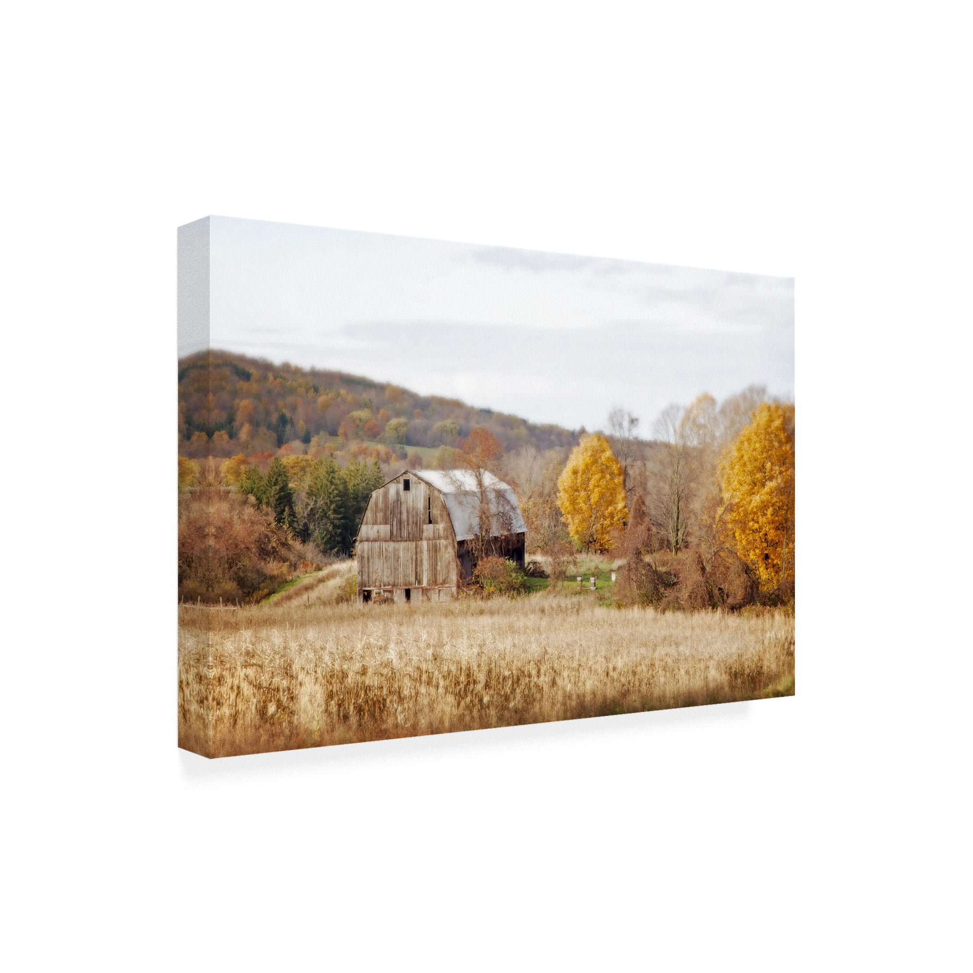 Trademark Fine Art Landscape Canvas Art ' Barn & Beehives ' by Brooke T. Ryan