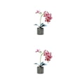 thumbnail image 2 of Bonsái de orquídeas artificiales Advancent con maceta Rosa roja 2Conjunto, 2 of 6