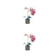 thumbnail image 1 of Cateissary Orquídea artificial Bonsái Potted Phalaenopsis Rosa roja 2Conjunto, 1 of 6