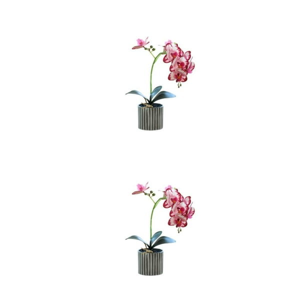 Cateissary Orquídea artificial Bonsái Potted Phalaenopsis Rosa roja 2Conjunto