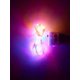 thumbnail image 5 of BASIC LIVING 1pc Copper String Light With 30pcs Bulb, 5 of 5