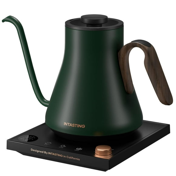 Hervidor eléctrico INTASTING Gooseneck 0.9 L con control de temperatura