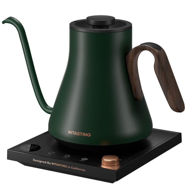 Hervidor eléctrico INTASTING Gooseneck 0.9 L con control de temperatura