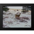 thumbnail image 2 of Popcorn 18x15 Black Modern Framed Museum Art Print Titled - Estes Park 5: Bull Deer II, 2 of 5