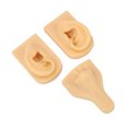 thumbnail image 3 of Modèle de Nez, Modèle d'Oreille de Nez en Silicone Modèle d'Oreille de Nez en Silicone Fonctionnalité Intelligente, 3 of 7