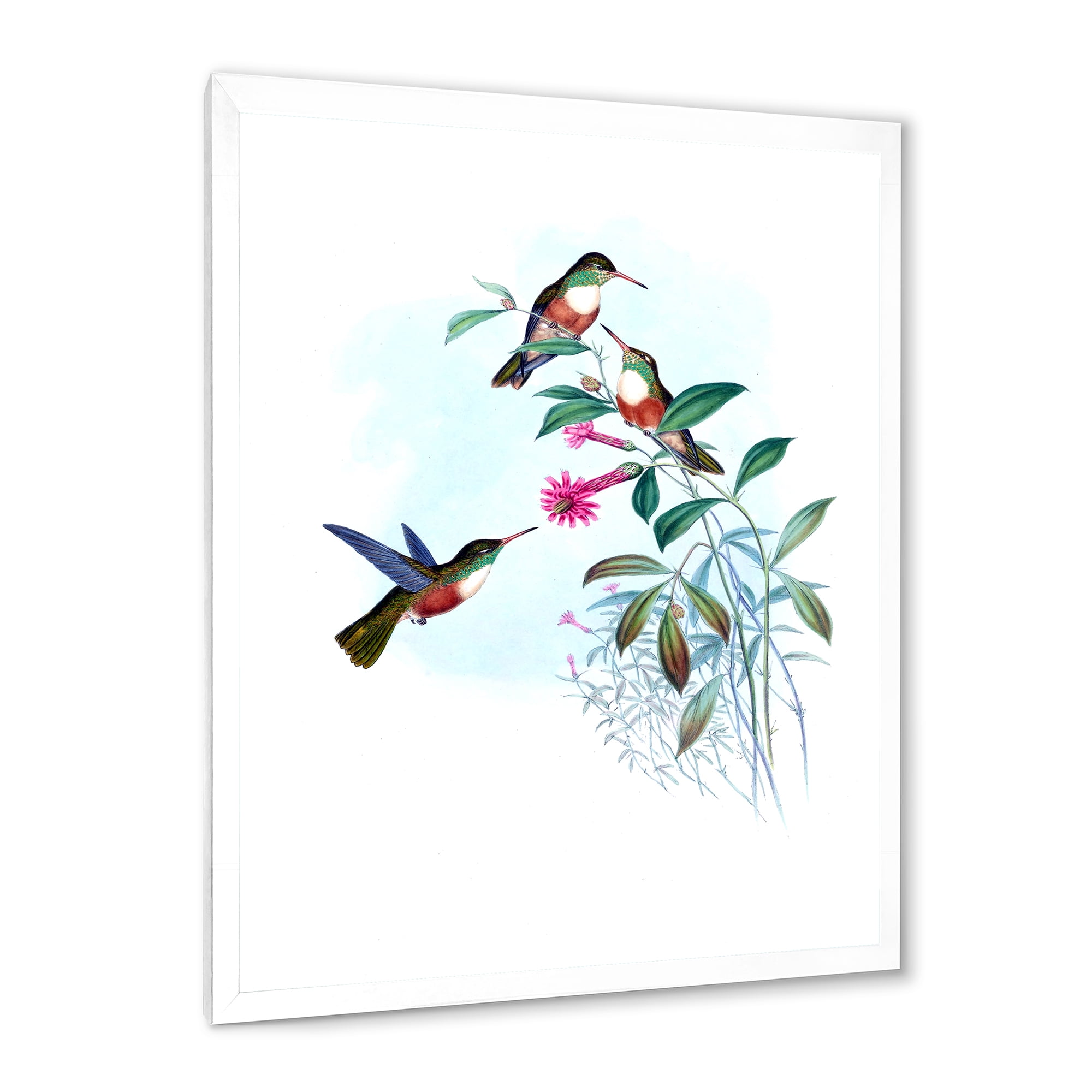 Designart 'Ancient Hummingbird IV' Traditional Framed Art Print