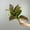 Red, variant on ZOELNIC 2 Packs Artificial Variegated Hosta Plant, 17.7" Faux Green Dieffenbachia Plant with 14 Leaves, Greenery Aesthetic House Plants for Home Office Table Shelf Desk Decor (Green)