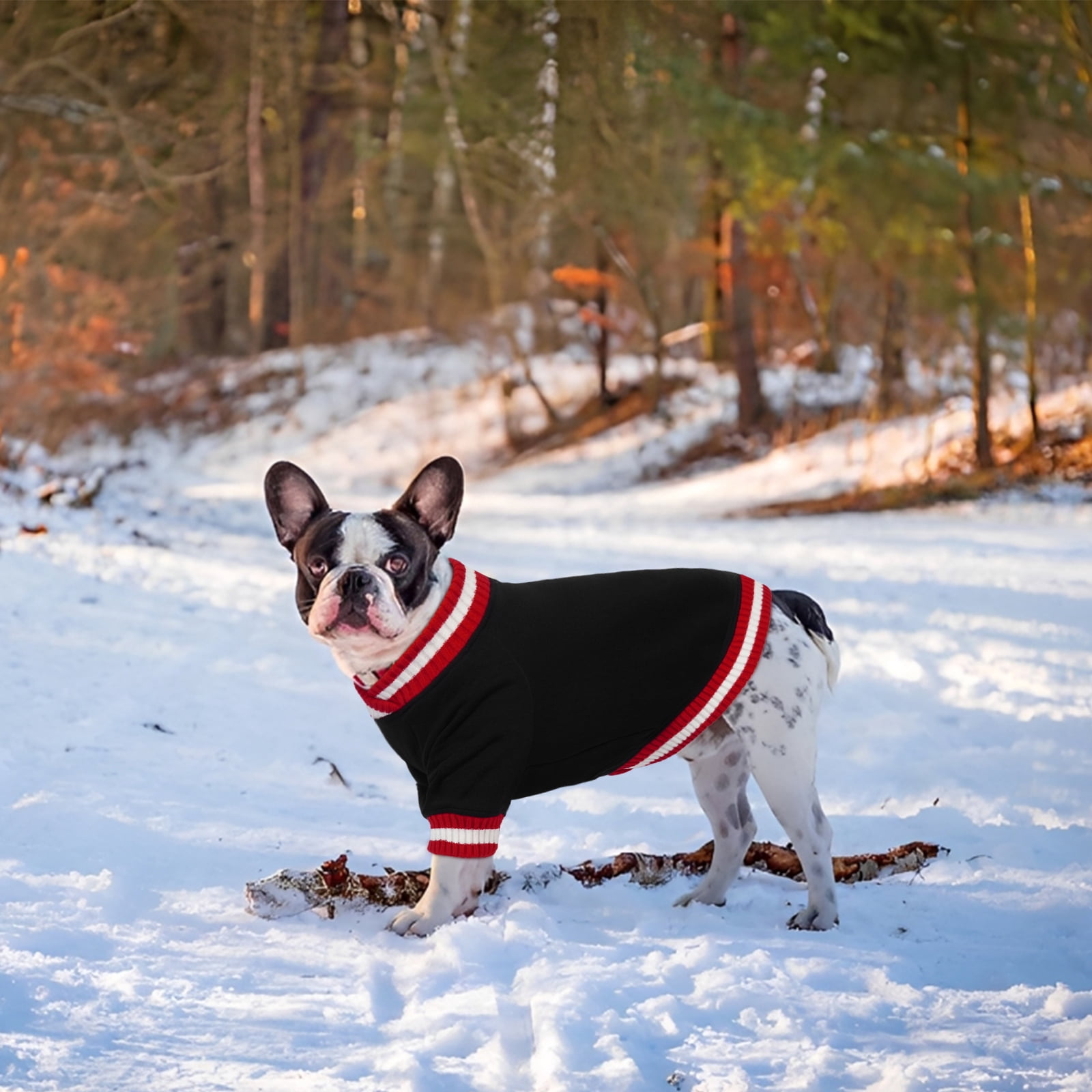 Kuoser Dog Winter Sweater, Cute Pet Pullover Vest, Soft and Thick Sweatshirt for Dogs and Cats, Black, M