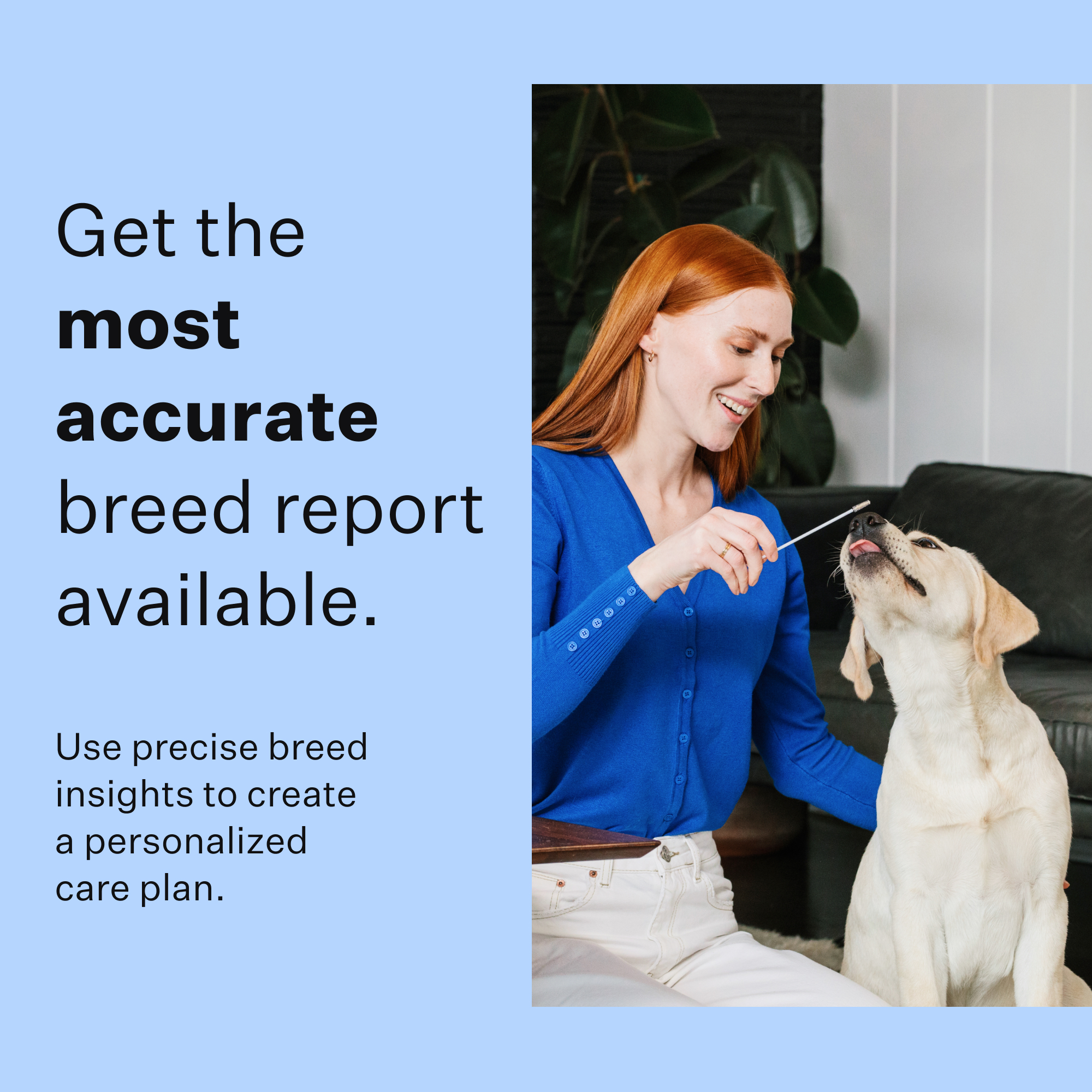 Wisdom Panel Breed Discovery, Breed Identification, Dog DNA Test Kit - image 3 of 8
