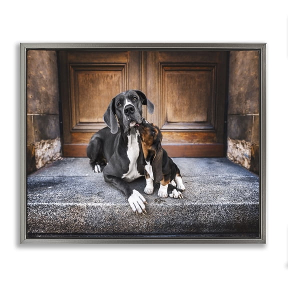 Stupell Industries Eclectic Dogs on Doorstep Gray Floating Frame Canvas Art, 21 x 17, by Natalie Grosse