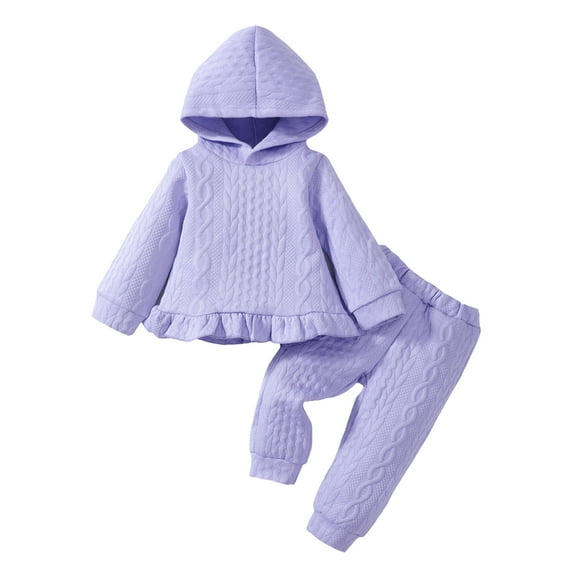 18 Months Baby Girls Clothes 24 Months Girls 2PCS Hoodie Outfits Set Solid Color Toddler Girls Long Sleeve Top Pants Set Purple