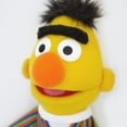 thumbnail image 5 of Enesco Sesame Street 14" Bert Gund Plush, 5 of 6