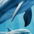 thumbnail image 3 of Dolphin Premium Polyester Indoor/Outdoor Door Mat - Angle Floor Mat for Home and Office Use - Durable and Easy to Clean - 200 Characters, 3 of 6