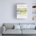 thumbnail image 3 of Jennifer Goldberger 'Olive Marsh II' Canvas Art, 3 of 3
