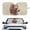 Bear Forest Maple Leaf, variant on Xixirimido Car Windshield Sun Shade Front Windshield Cover Universal Fit for SUVs Trucks Foldable Front Window Sunshade Automotive Interior Accessories, Halloween Spider Web