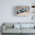 thumbnail image 2 of Cheng Chang 'No Room No Problem' Canvas Art, 2 of 4