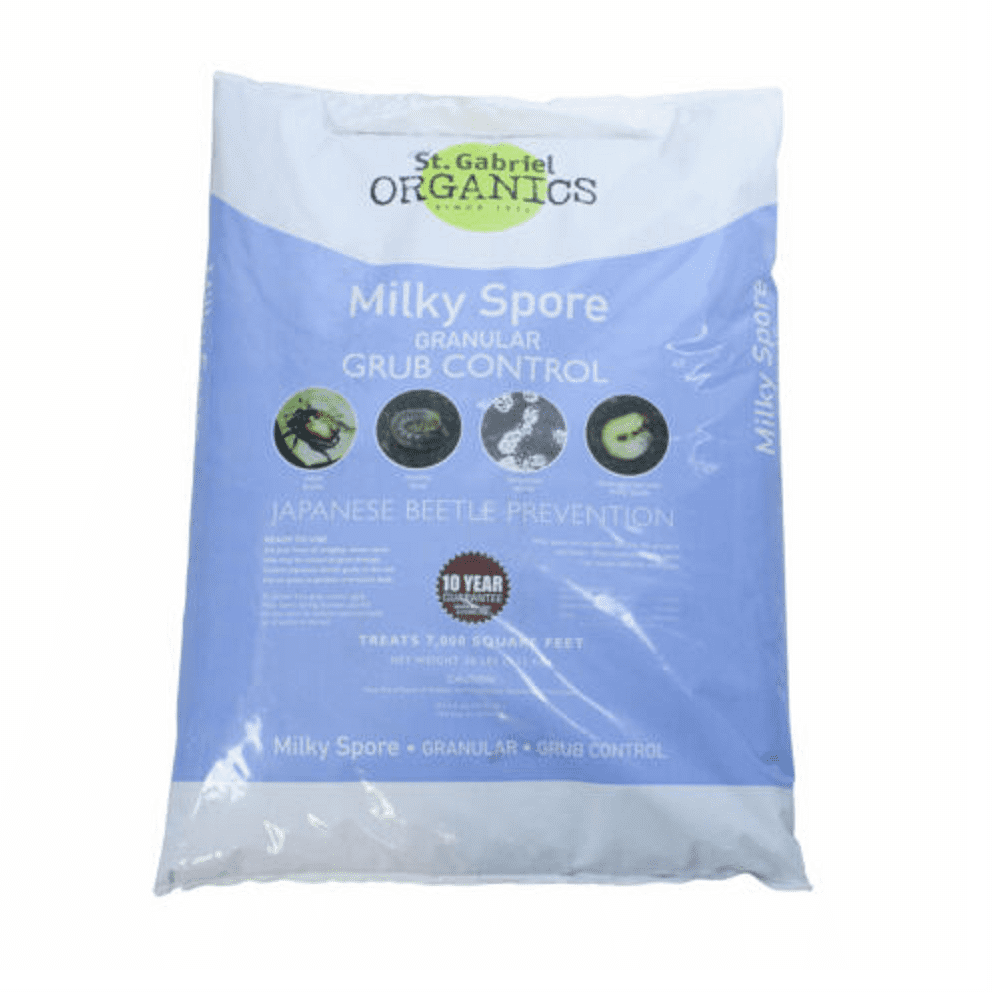 milky spore milky spore